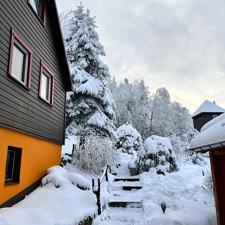 Apartamento Haus Tadeus Altenberg  Exterior foto